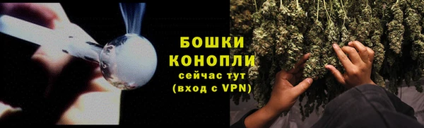 СК Волоколамск