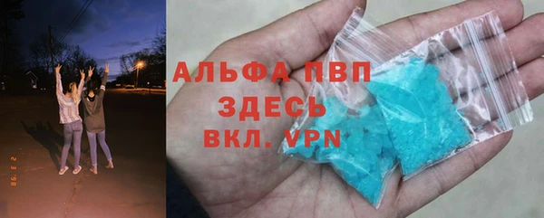 СК Волоколамск