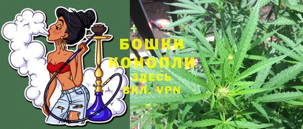 СК Волоколамск
