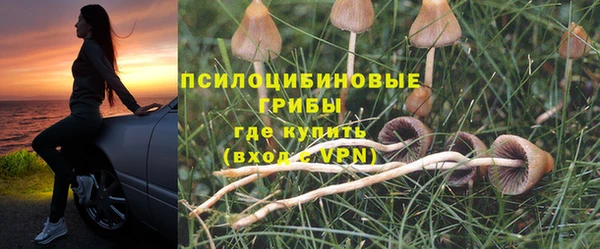 СК Волоколамск