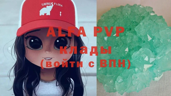 СК Волоколамск