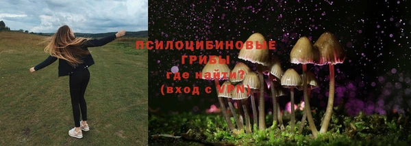 СК Волоколамск