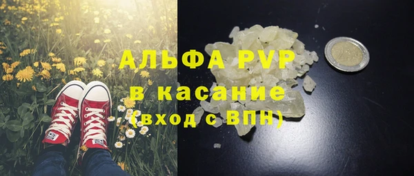 Альфа ПВП Горняк