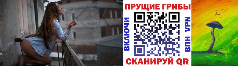 Галлюциногенные грибы Psilocybine cubensis  как найти   Дагестанские Огни 